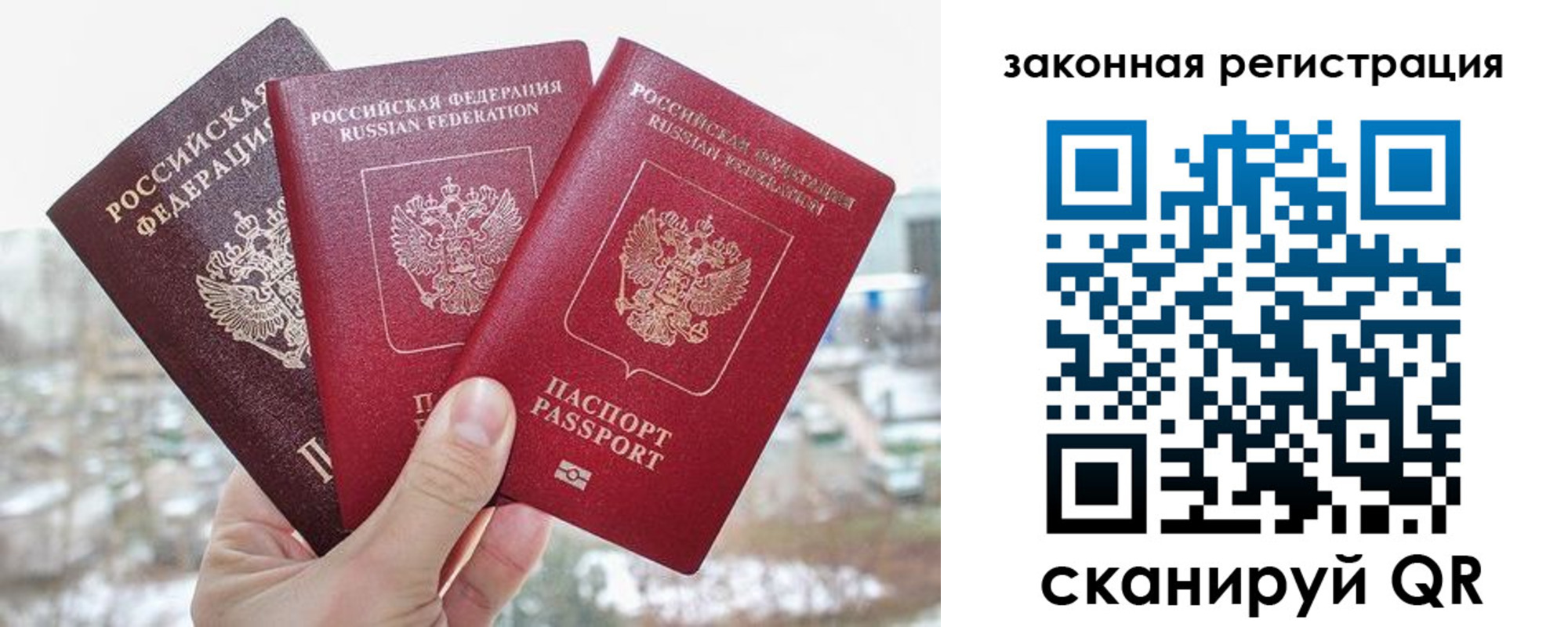 найти адрес прописки в Петропавловске-Камчатском